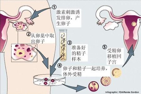 张明华 院长